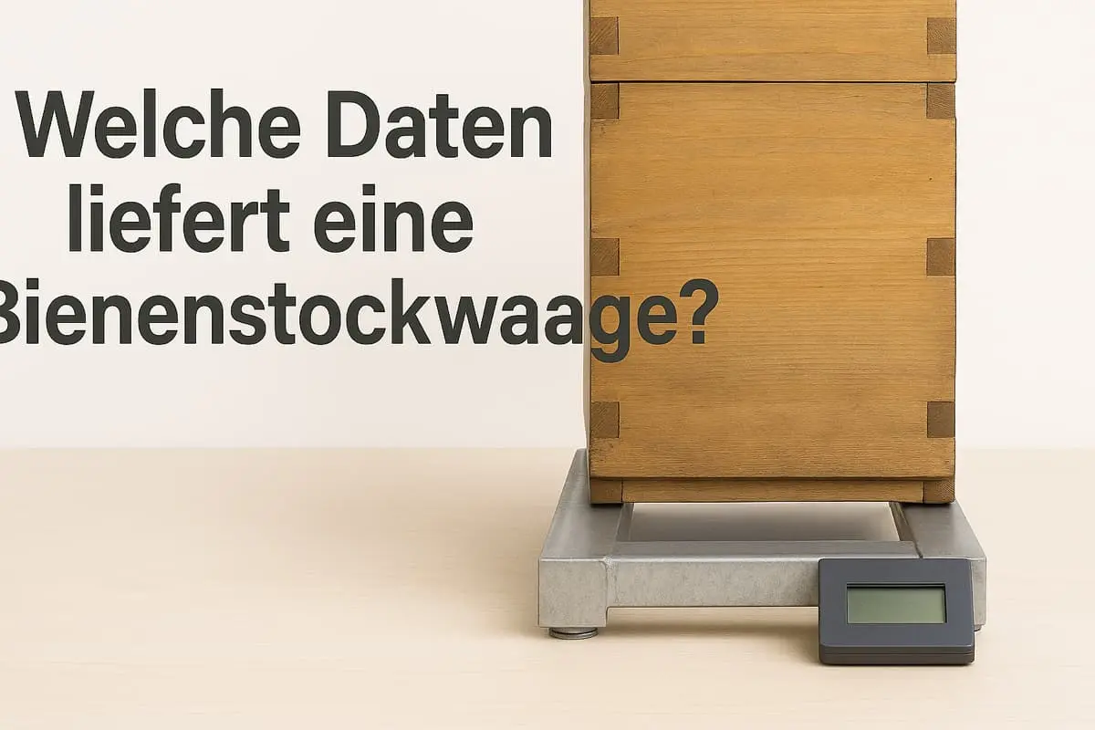 Welche Daten liefert eine Bienenstockwaage?