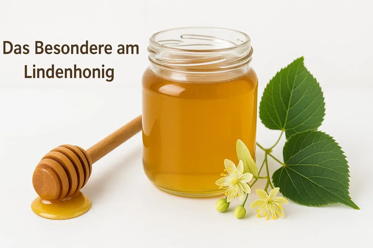 Was macht Lindenhonig so besonders?