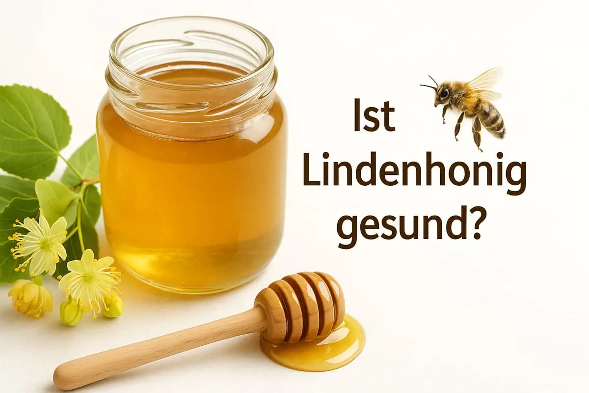 Ist Lindenhonig gesund und welche Wirkung hat er?