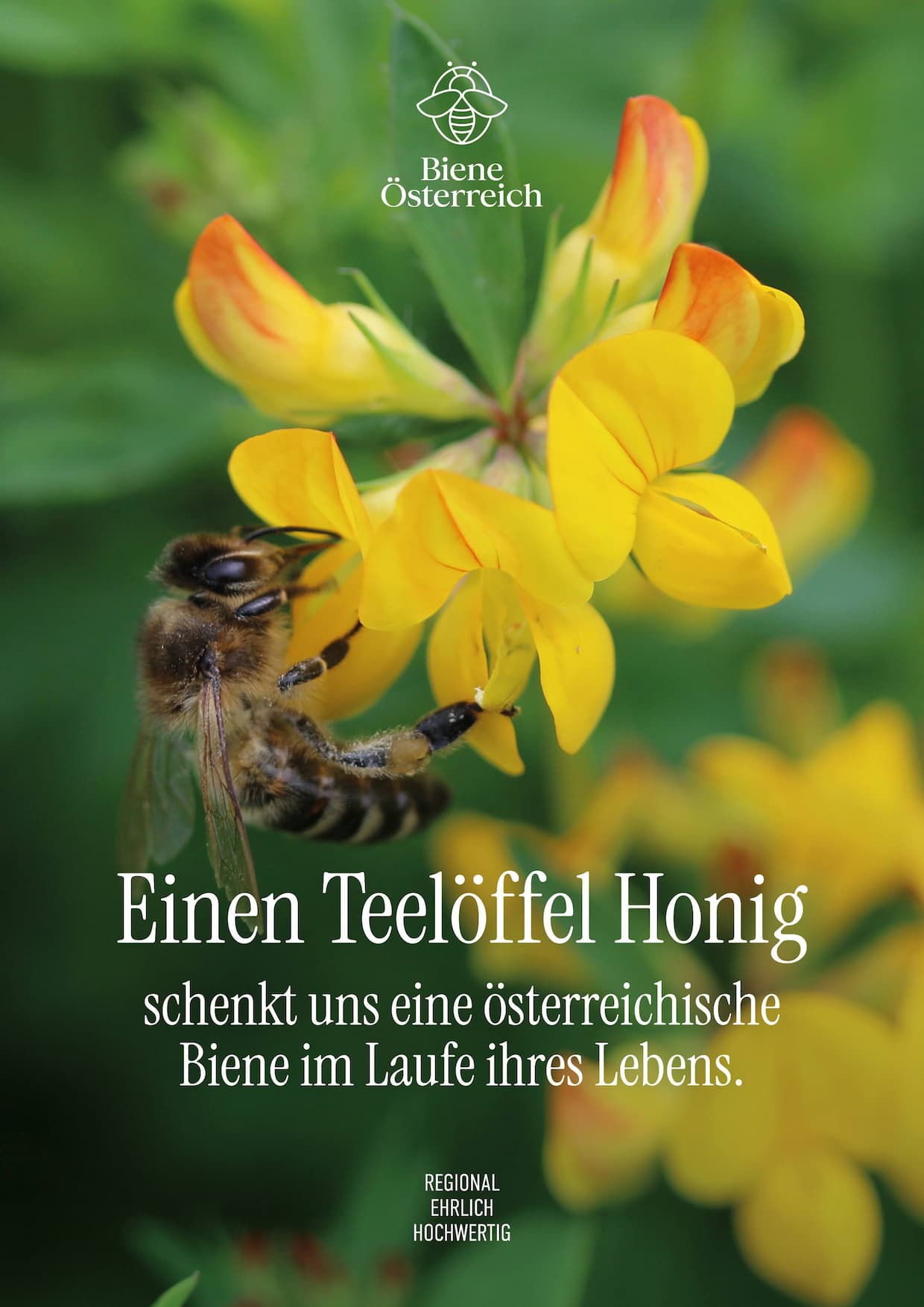 Schne 1 Teelffel Honig Kalorien Bild