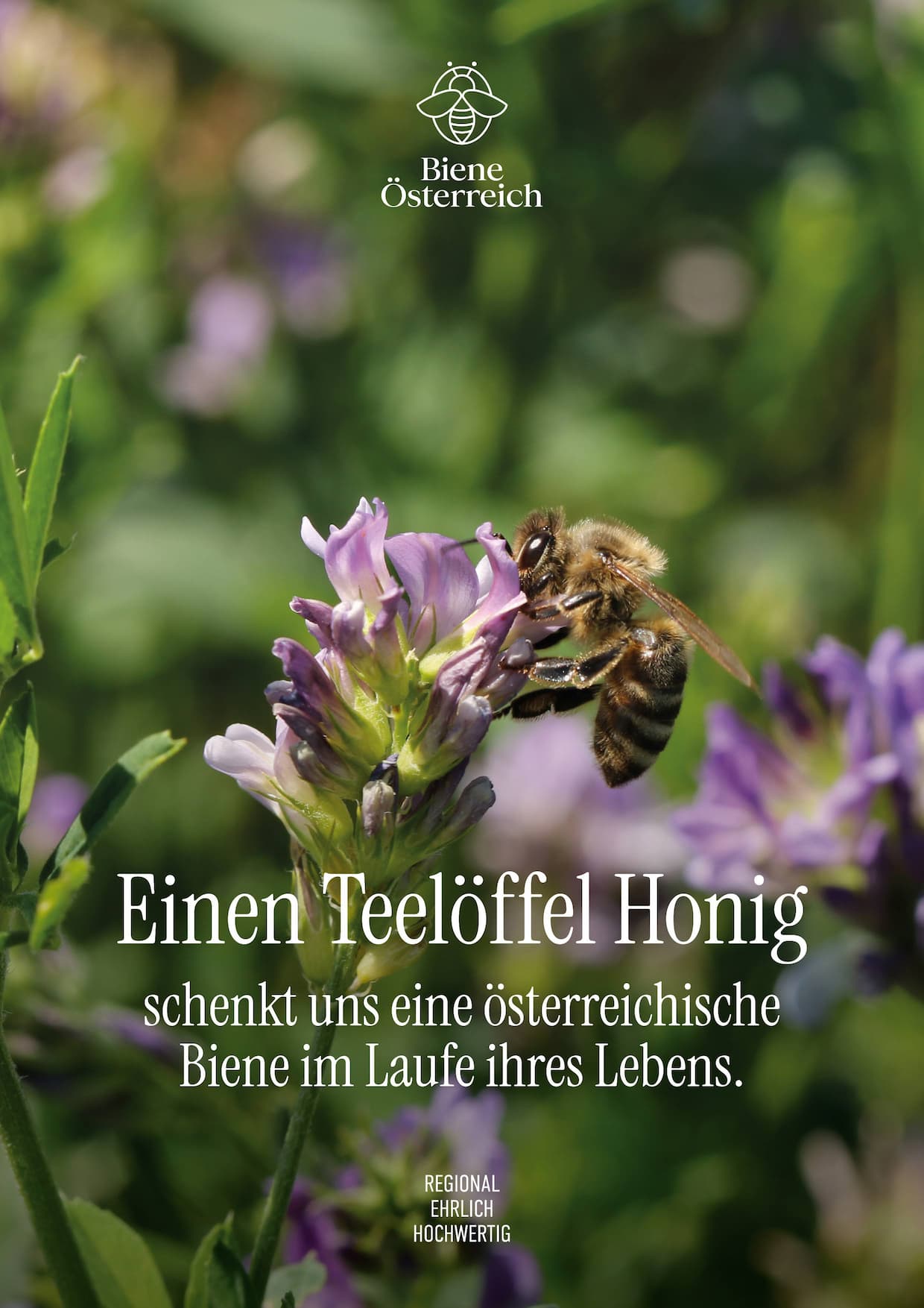 Schne 1 Teelffel Honig Kalorien Bild
