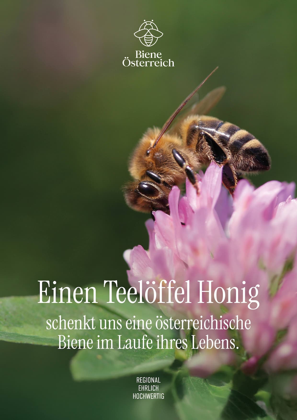 Schne 1 Teelffel Honig Kalorien Bild