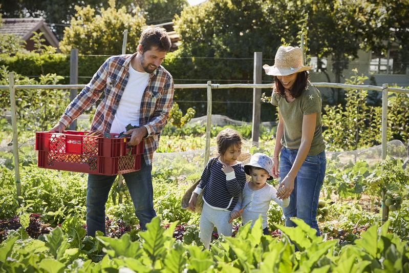 Biohelp Garten & Bienen