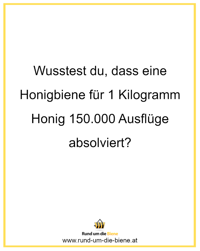Wusstest du, dass eine Honigbiene für 1 Kilogramm Honig 150.000 Ausflüge absolviert?