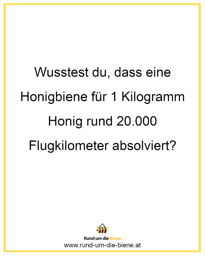 Wusstest du, dass eine Honigbiene für 1 Kilogramm Honig rund 20.000 Flugkilometer absolviert?