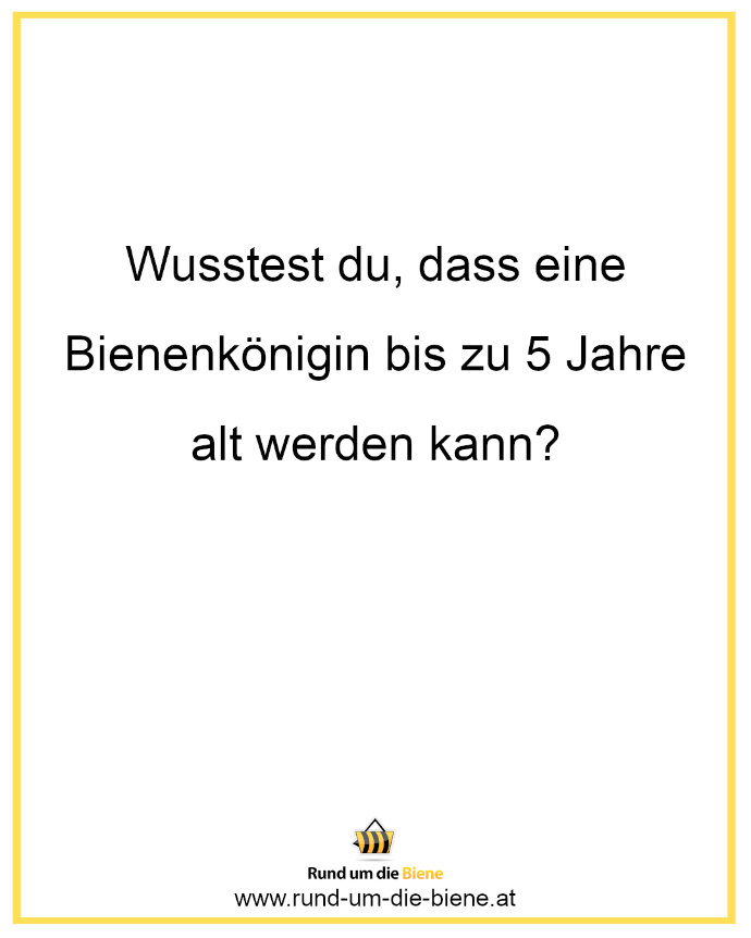 Wusstest du, dass eine Bienenkönigin bis zu 5 Jahre alt werden kann?