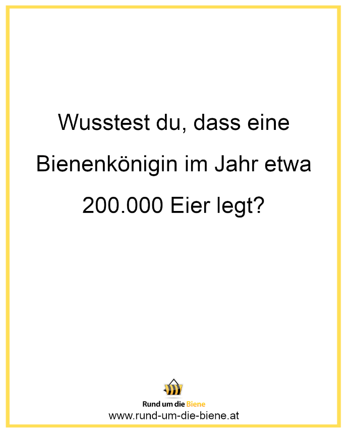 Wusstest du, dass eine Bienenkönigin im Jahr etwa 200.000 Eier legt?