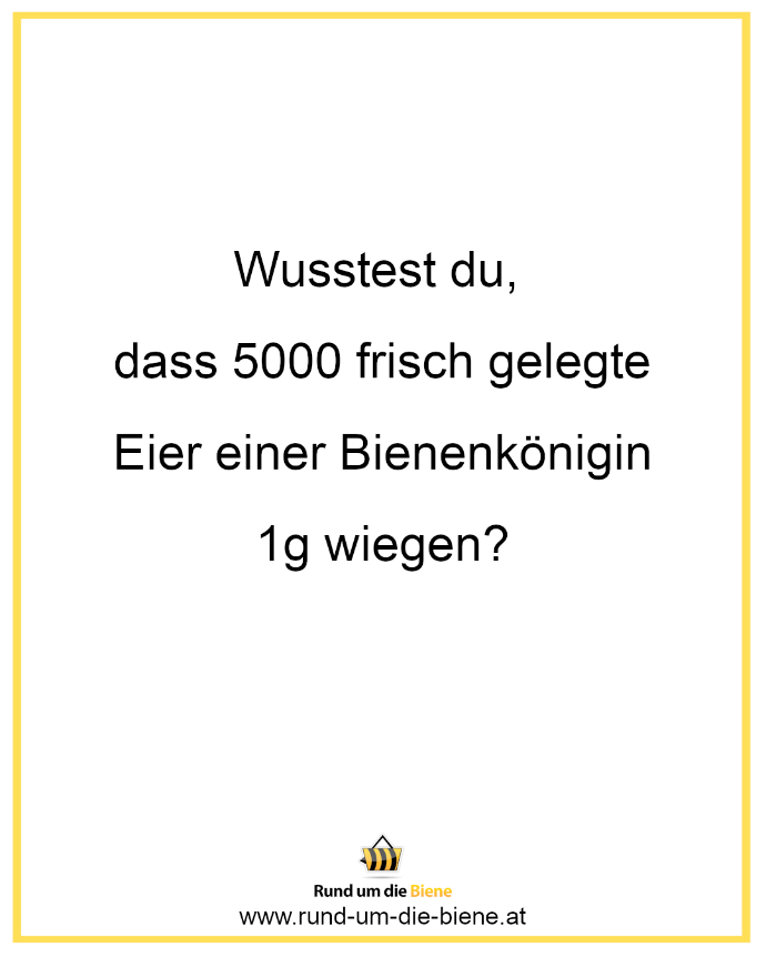 Wusstest du, dass 5000 frisch gelegte Eier einer Bienenkönigin 1g wiegen?