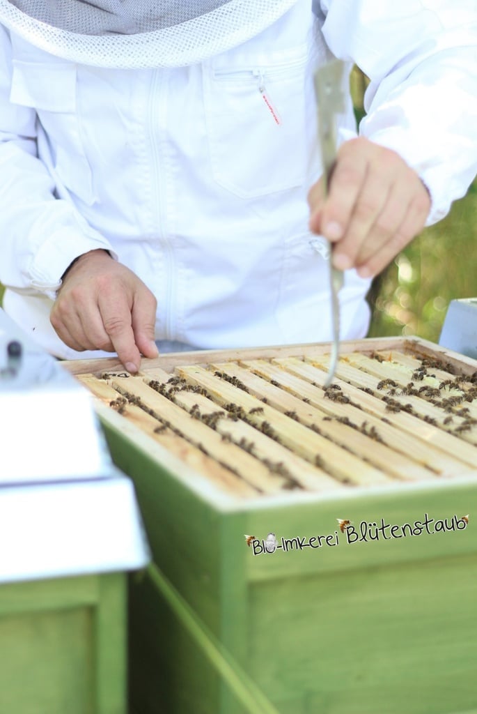 Bio-Imkerei Blütenstaub Kerze Bienenwachs