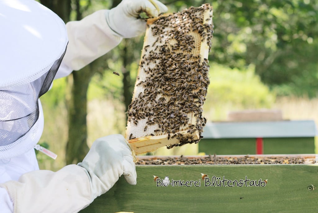 Bio-Imkerei Blütenstaub Kerze Bienenwachs