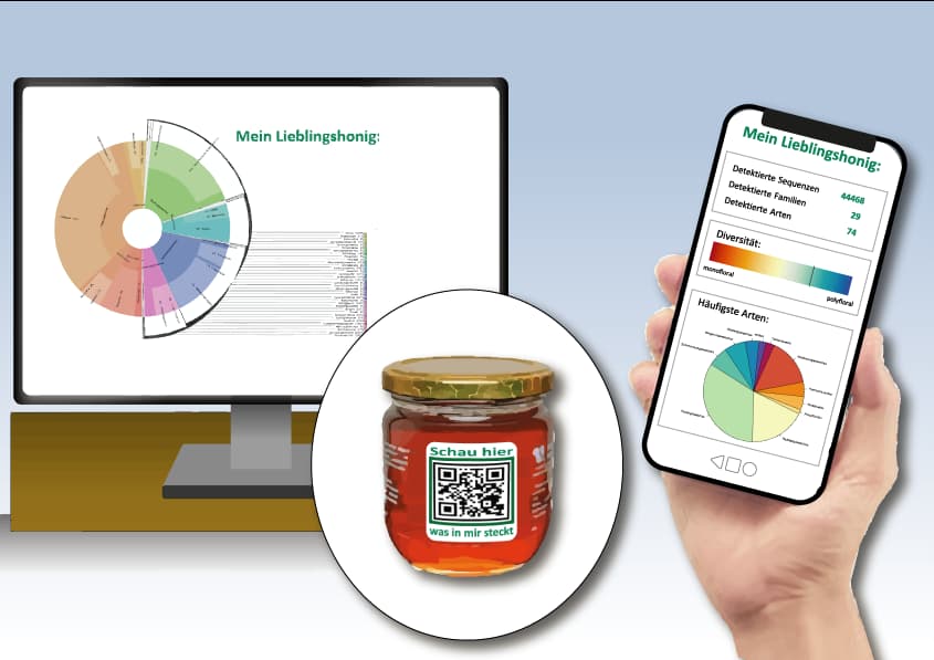 DNA-Trachtanalyse Honig von Sinsoma