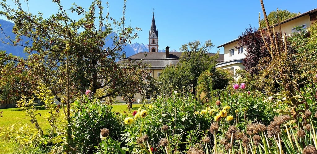 Osttiroler Honig "Klostergarten Lienz" 500g von Imkerei Dolomitenbiene