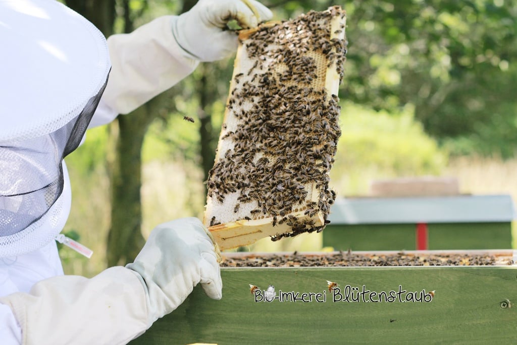 Bio-Imkerei Blütenstaub Bio-Blütenhonig mit Lavendel 250g