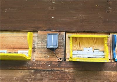 HiveWatch Solarpanel von FPGA Company GmbH