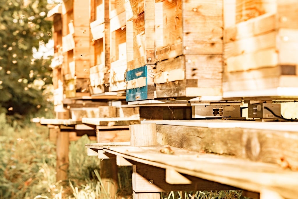 HiveWatch Bienenstockwaage von FPGA Company GmbH