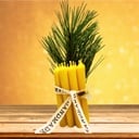 Christbaumkerzen Bienenwachs 10er-Set von Bio-Imkerei Blütenstaub