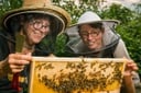 Bee My Honey Halskette von Bio-Imkerei Auhonig