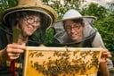 Bienenwachstuch 30x30cm von Bio-Imkerei Auhonig