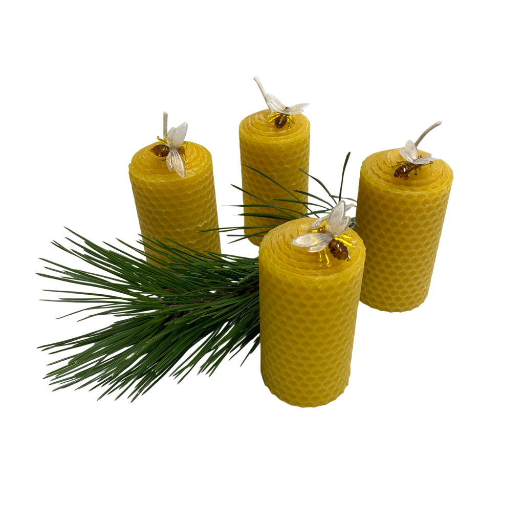 Bienenwachskerze gerollt 9cm 4er-Set von Bio-Imkerei Blütenstaub