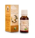 Propolis-Tropfen 20ml von Heidi-Honig