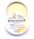 Pfotenbalsam 70g von Imkerei Fuchsbichler