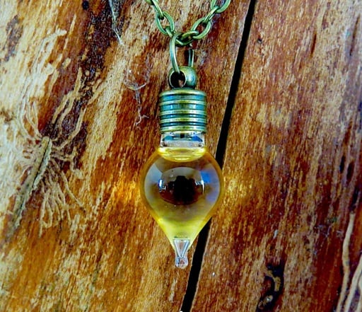 Bee My Honey Halskette von Bio-Imkerei Auhonig